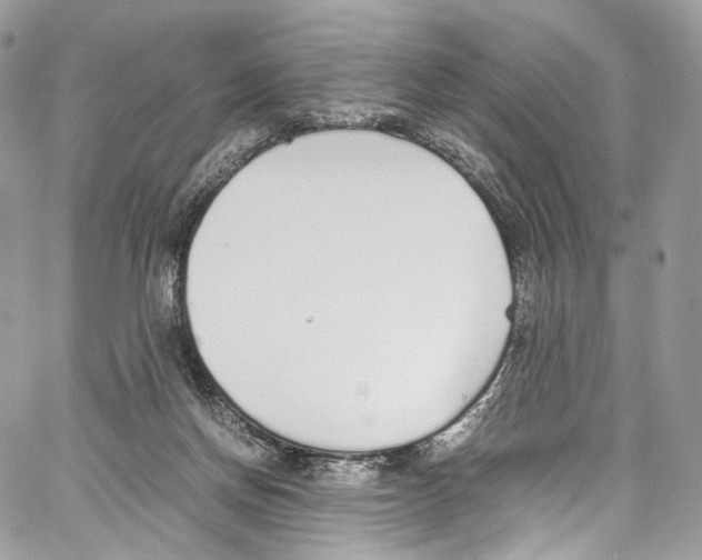 X0000067000166200604241413