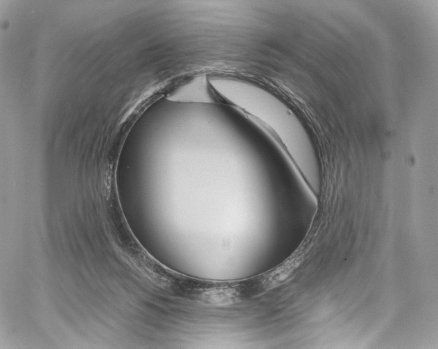 X0000067000168200604241413