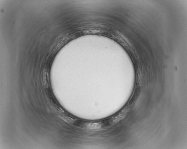 X0000067000169200604241413