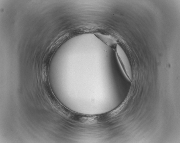 X0000067000170200604241413