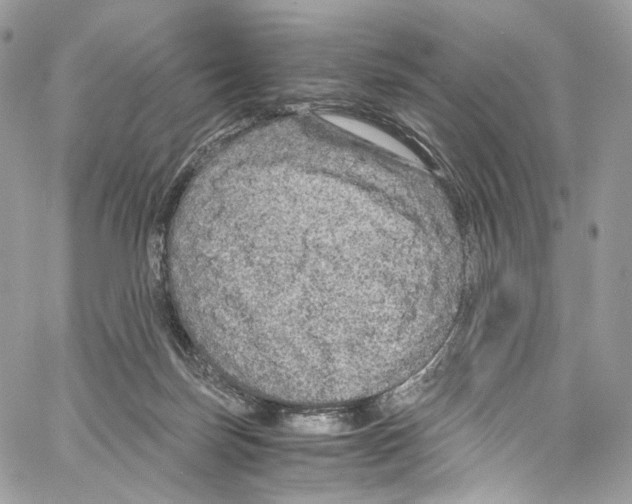 X0000067000171200604241413