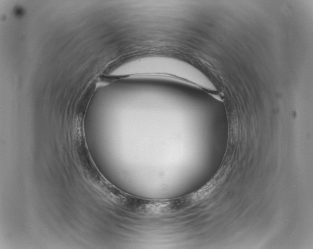 X0000067000172200604241413