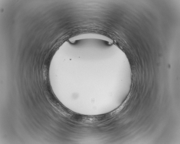 X0000067000174200604241413