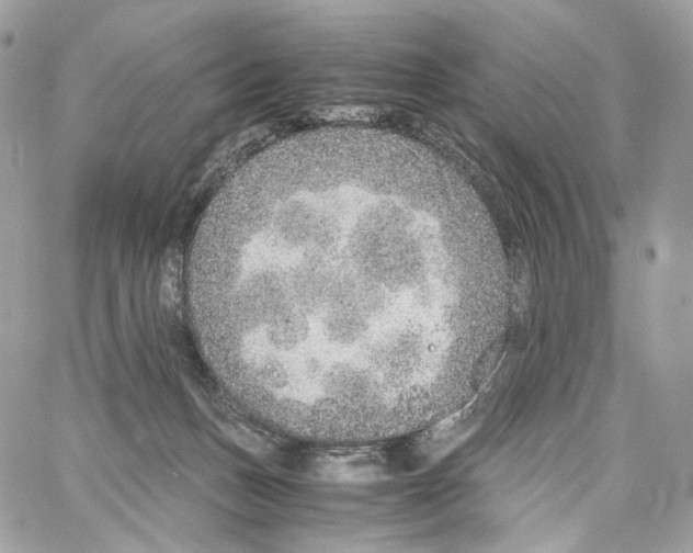 X0000067000175200604241413