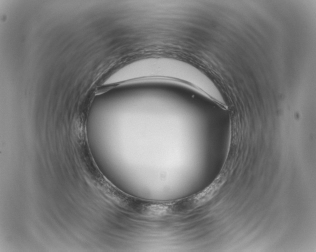 X0000067000176200604241413