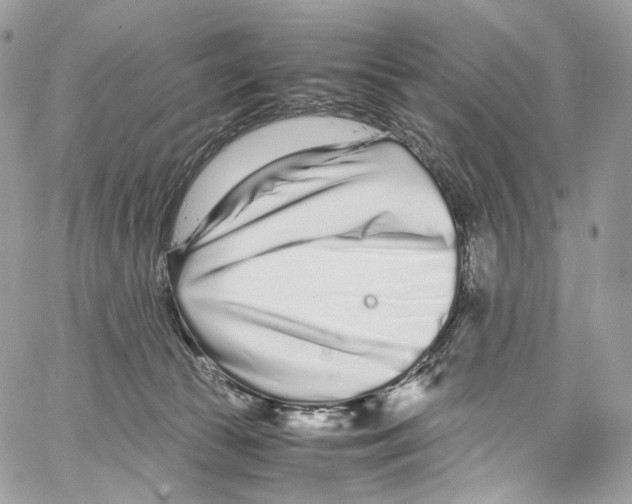 X0000067000177200604241413