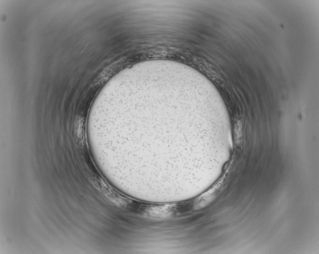 X0000067000178200604241413