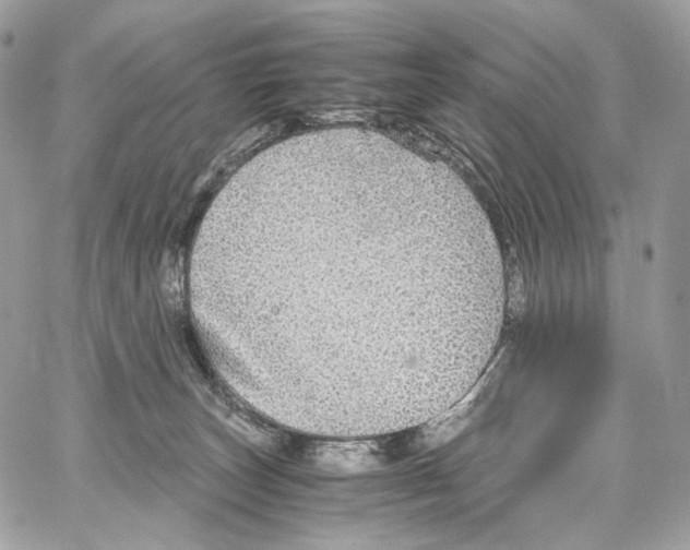 X0000067000179200604241413