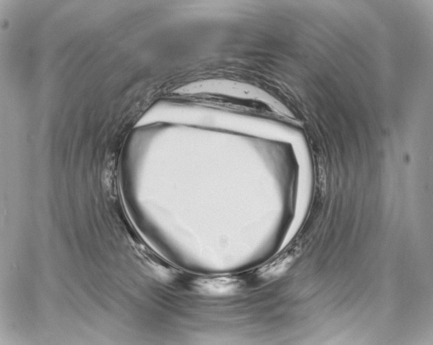 X0000067000181200604241414