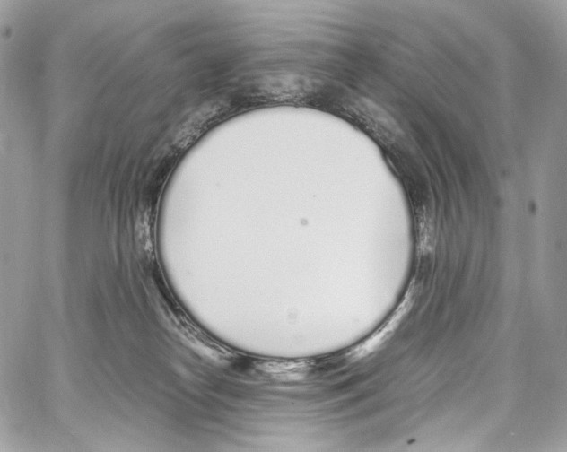 X0000067000182200604241414