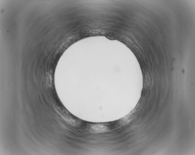 X0000067000183200604241414