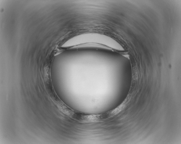 X0000067000184200604241414