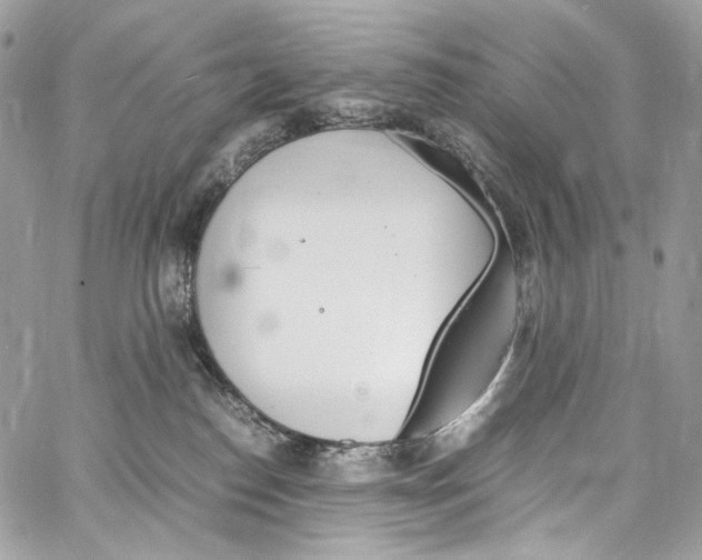 X0000067000186200604241414