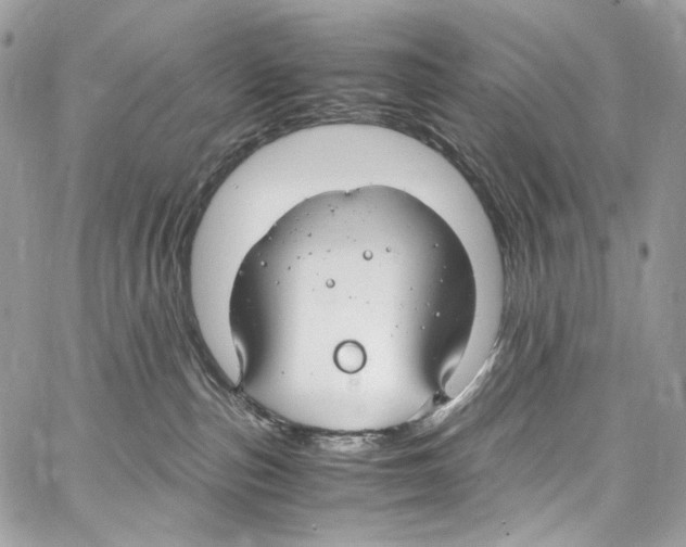 X0000067000187200604241414