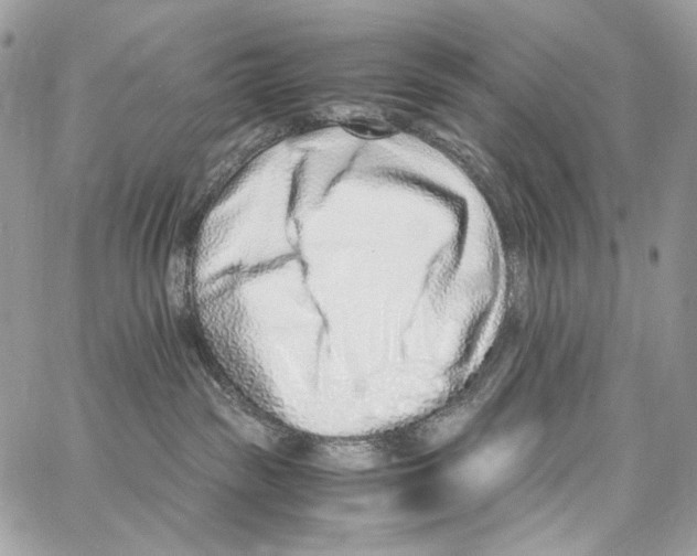 X0000067000189200604241414