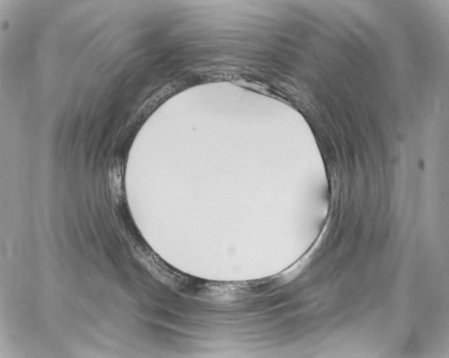 X0000067000190200604241414