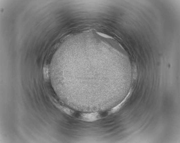 X0000067000191200604241414