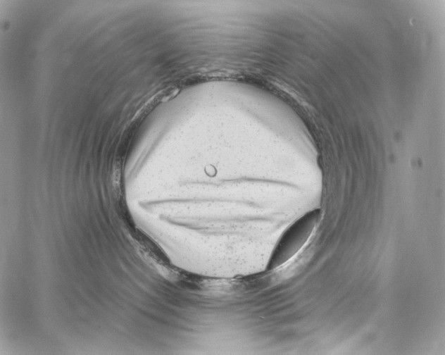 X0000067000192200604241414