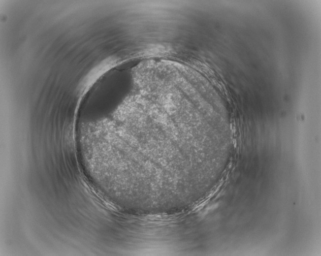 X0000067000196200604241413