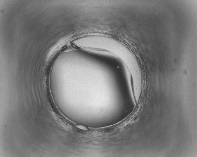 X0000067000197200604241413