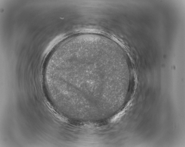 X0000067000199200604241413