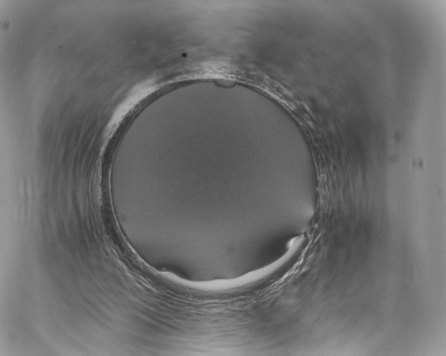 X0000067000200200604241413