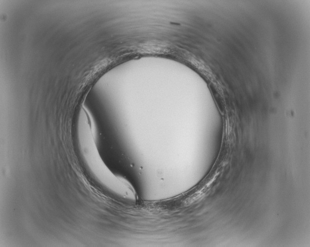 X0000067000201200604241413