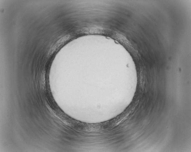 X0000067000202200604241413