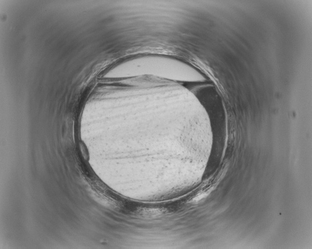 X0000067000205200604241413