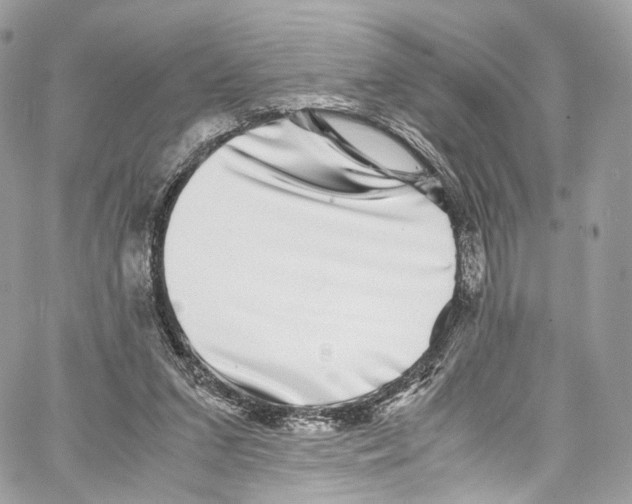 X0000067000207200604241413