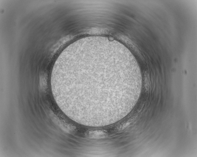 X0000067000208200604241413