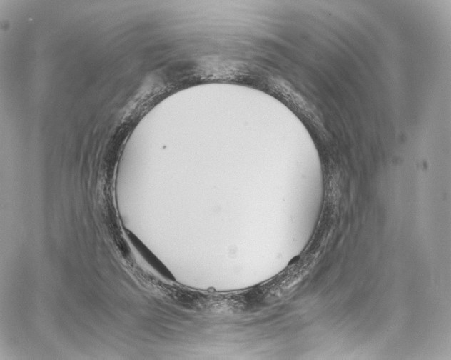 X0000067000209200604241413