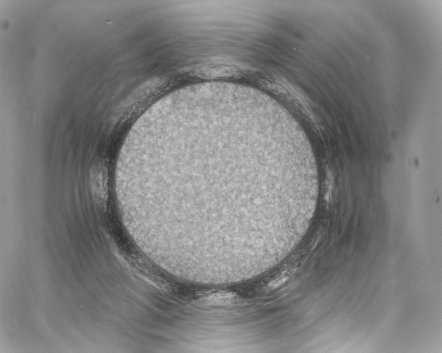 X0000067000210200604241413