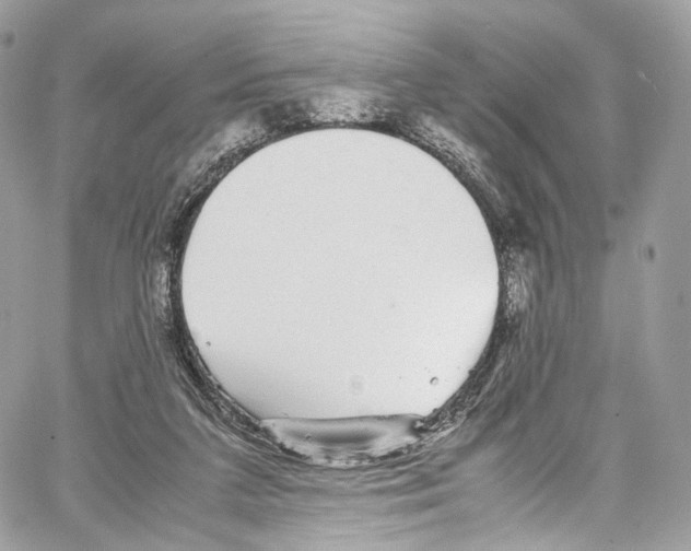 X0000067000211200604241412