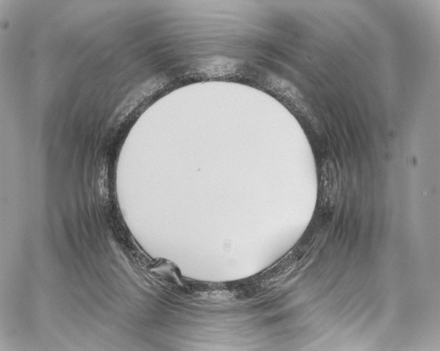 X0000067000212200604241412