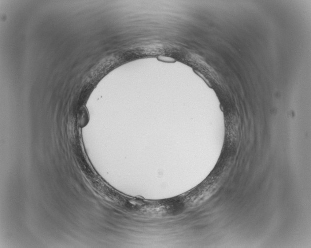 X0000067000213200604241412