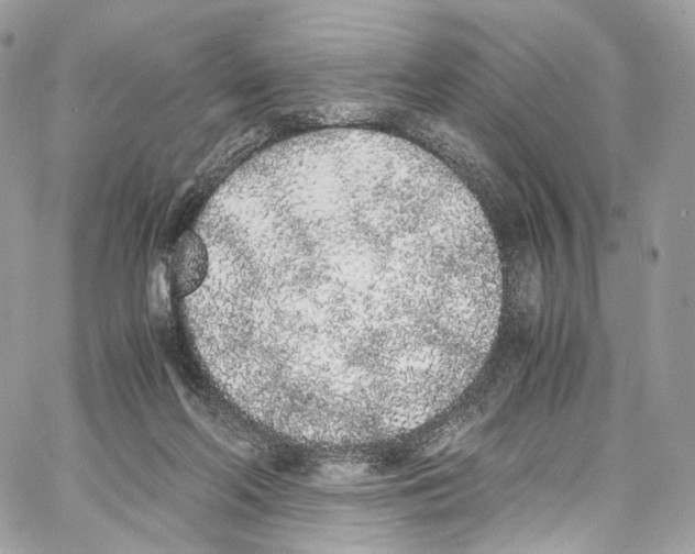 X0000067000214200604241412