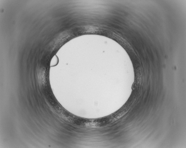 X0000067000216200604241412