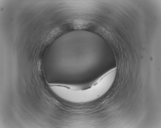 X0000067000219200604241412