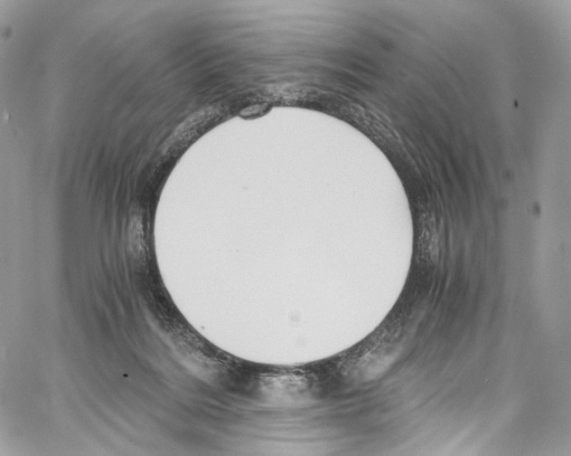 X0000067000220200604241412