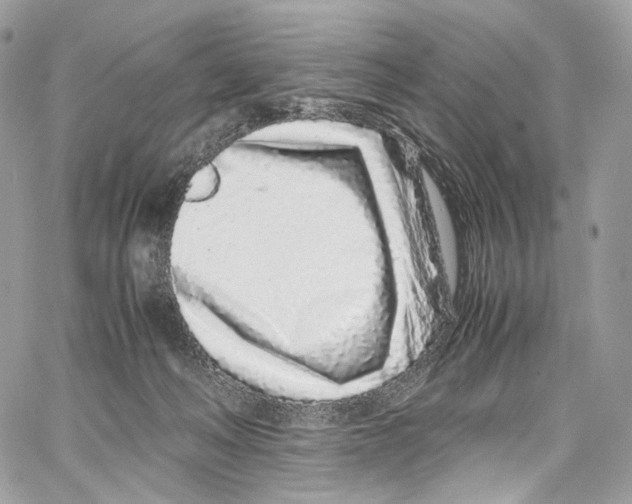 X0000067000222200604241412