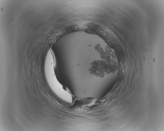 X0000067000223200604241412