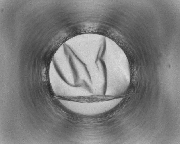 X0000067000224200604241412