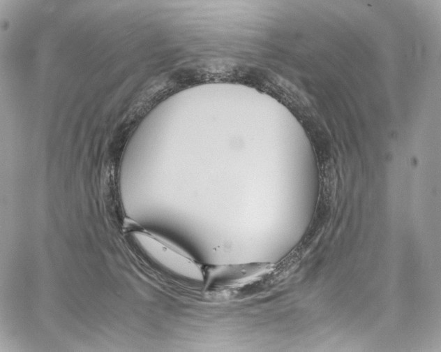 X0000067000225200604241412