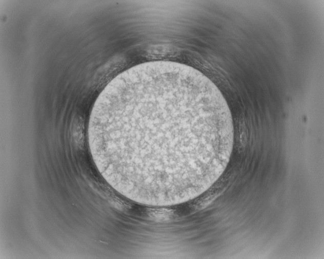 X0000067000226200604241412