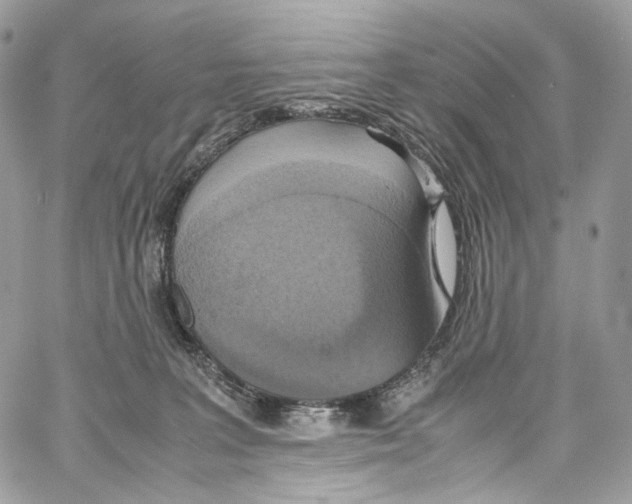 X0000067000227200604241412