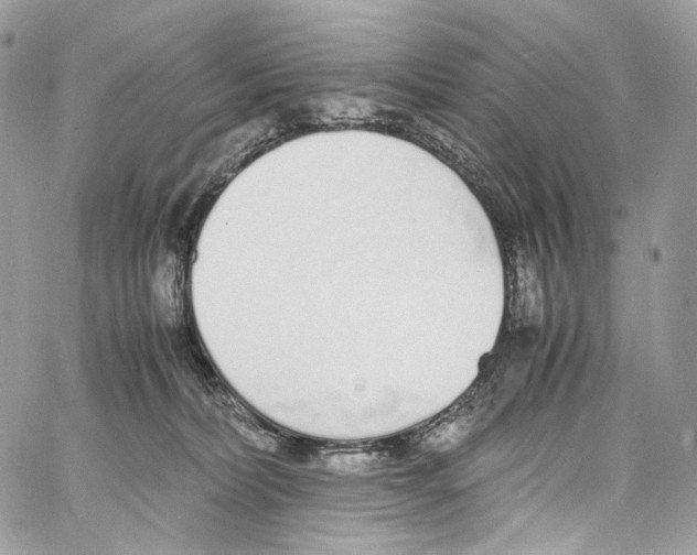 X0000067000228200604241412