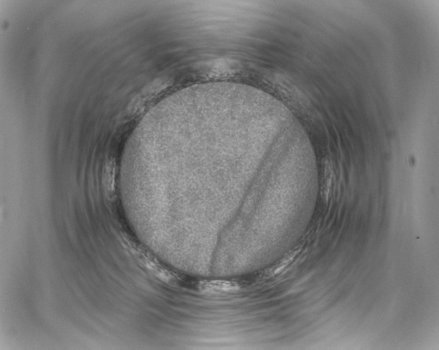 X0000067000230200604241412