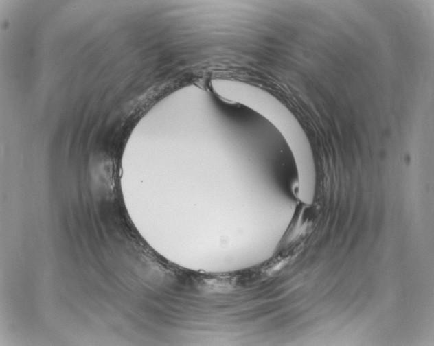 X0000067000232200604241412