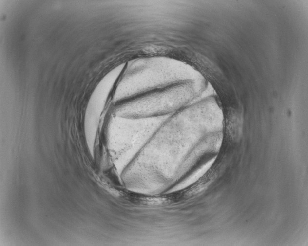 X0000067000233200604241412